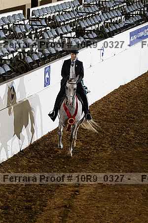 Proof Number 10r9_0327