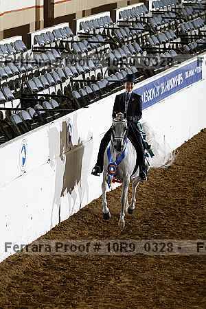 Proof Number 10r9_0328