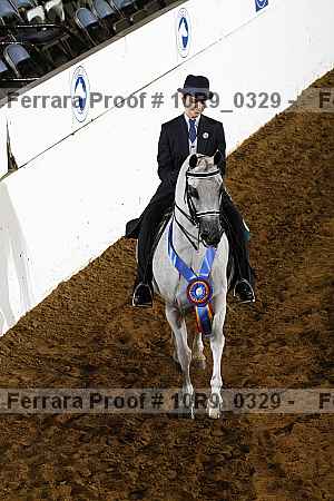 Proof Number 10r9_0329