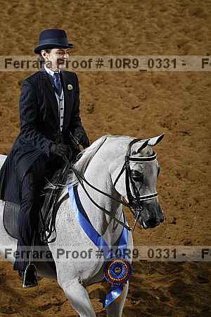Proof Number 10r9_0331