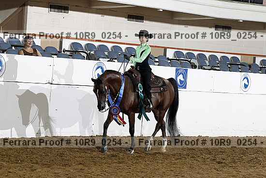 Proof Number 10r9_0254