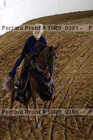 Proof Number 10r9_0391