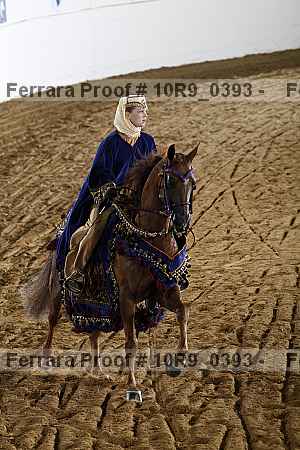 Proof Number 10r9_0393