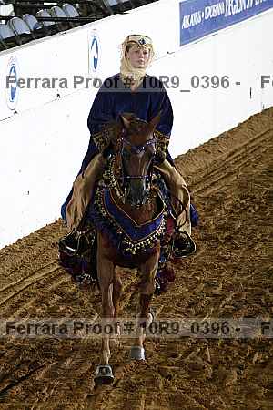 Proof Number 10r9_0396
