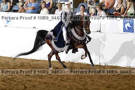 Proof Number 10r9_0403