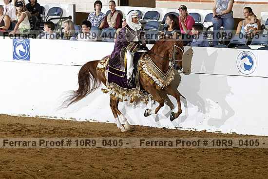 Proof Number 10r9_0405