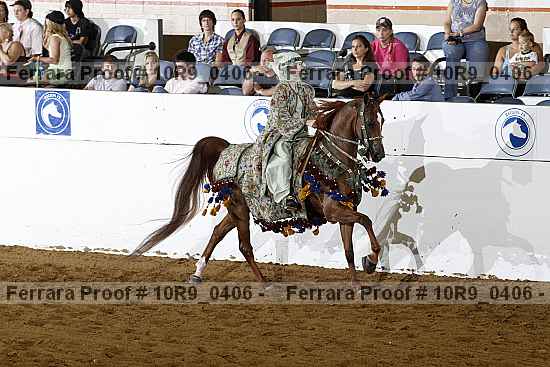 Proof Number 10r9_0406