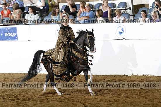 Proof Number 10r9_0408