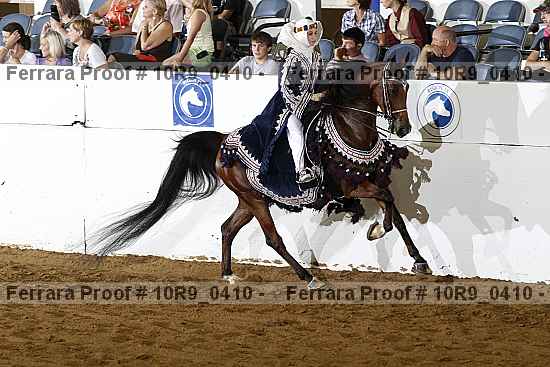 Proof Number 10r9_0410