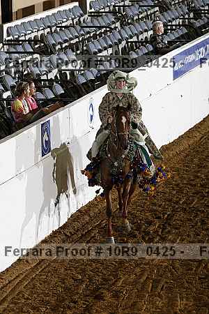 Proof Number 10r9_0425