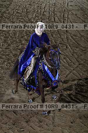 Proof Number 10r9_0431