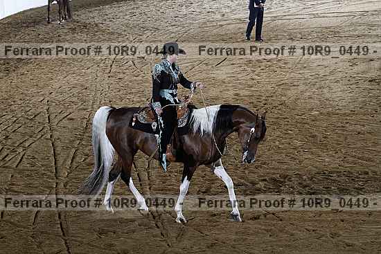 Proof Number 10r9_0449