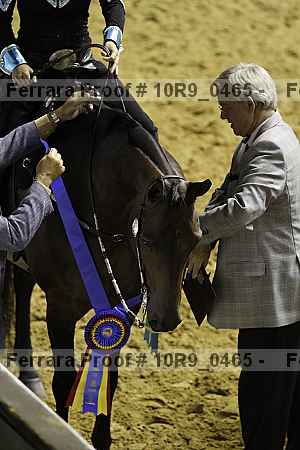 Proof Number 10r9_0465