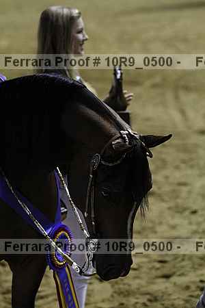 Proof Number 10r9_0500