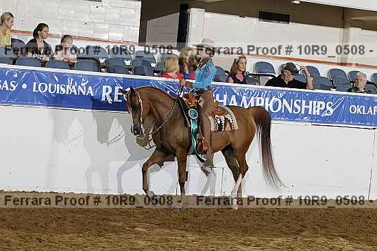Proof Number 10r9_0508