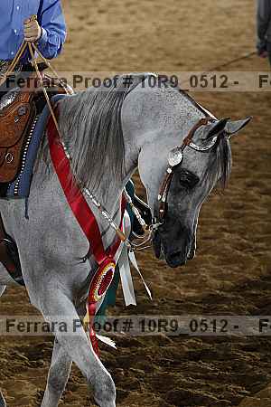 Proof Number 10r9_0512