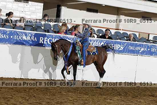 Proof Number 10r9_0513