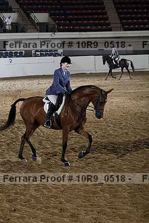 Proof Number 10r9_0518