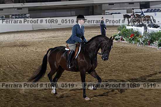 Proof Number 10r9_0519