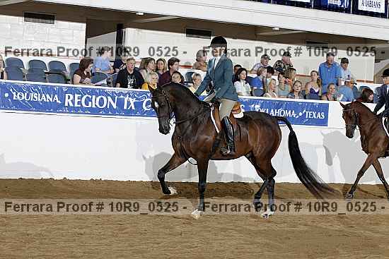 Proof Number 10r9_0525