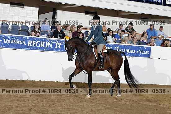 Proof Number 10r9_0536