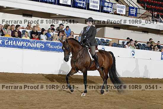 Proof Number 10r9_0541