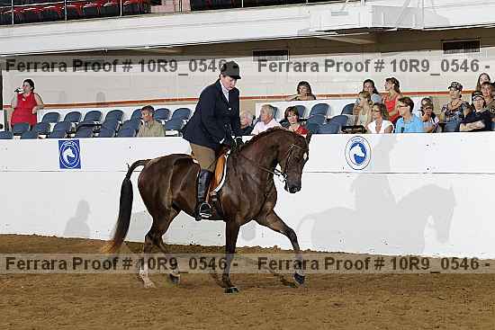 Proof Number 10r9_0546