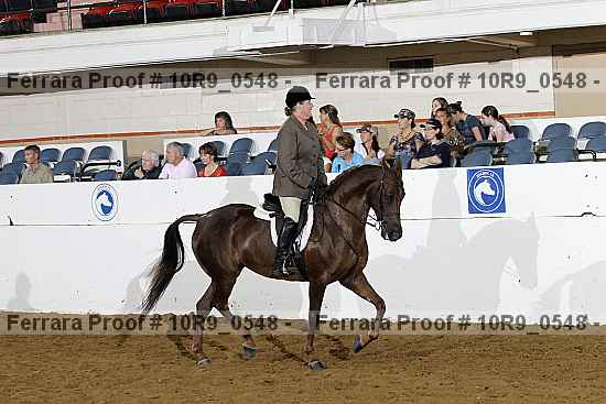 Proof Number 10r9_0548
