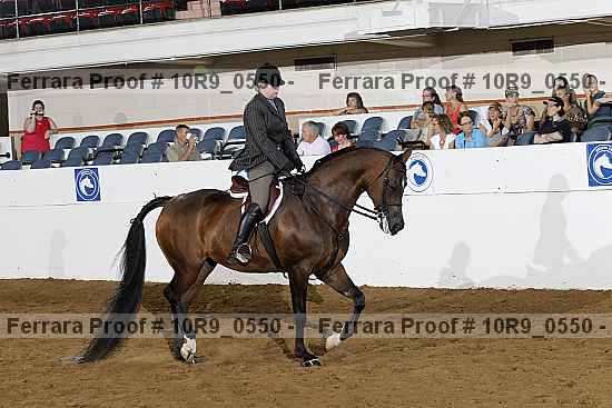 Proof Number 10r9_0550