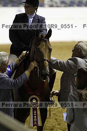 Proof Number 10r9_0551