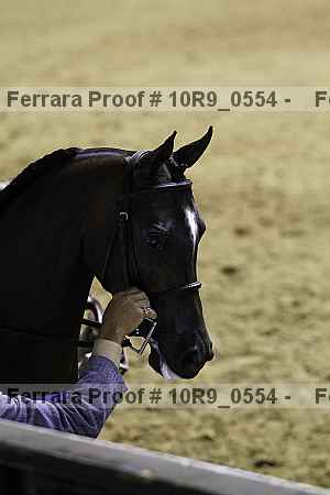 Proof Number 10r9_0554