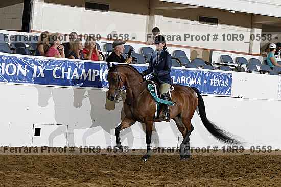 Proof Number 10r9_0558