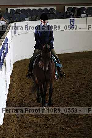 Proof Number 10r9_0559