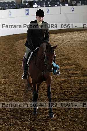 Proof Number 10r9_0561