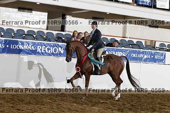 Proof Number 10r9_0566
