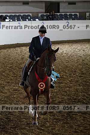 Proof Number 10r9_0567