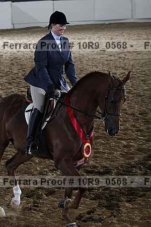 Proof Number 10r9_0568