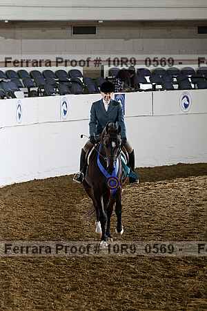 Proof Number 10r9_0569