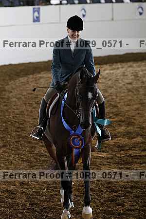 Proof Number 10r9_0571