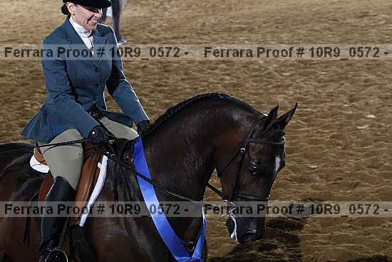 Proof Number 10r9_0572