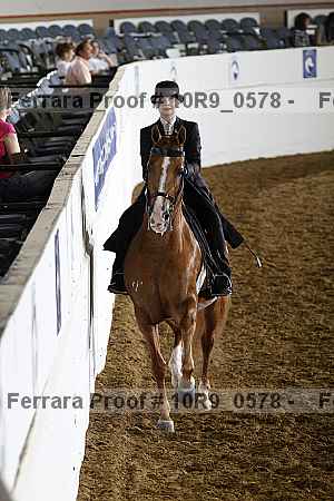 Proof Number 10r9_0578