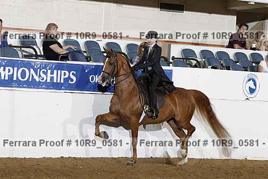 Proof Number 10r9_0581