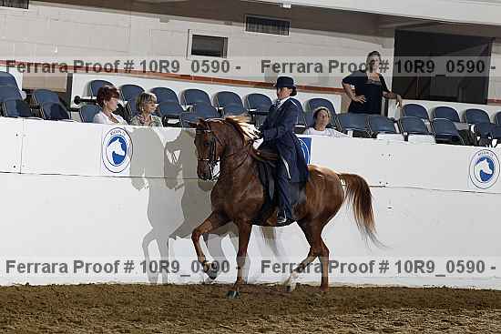 Proof Number 10r9_0590