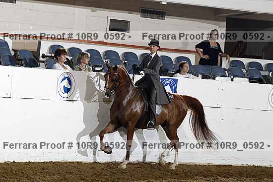Proof Number 10r9_0592