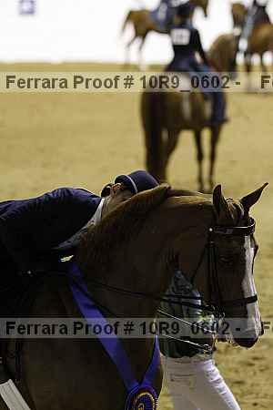Proof Number 10r9_0602