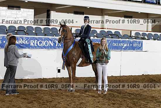 Proof Number 10r9_0604