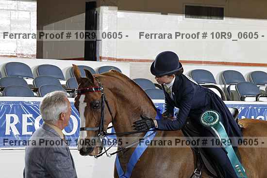 Proof Number 10r9_0605
