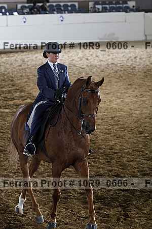 Proof Number 10r9_0606