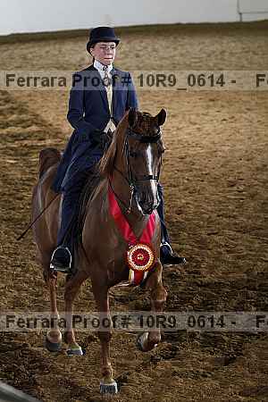 Proof Number 10r9_0614