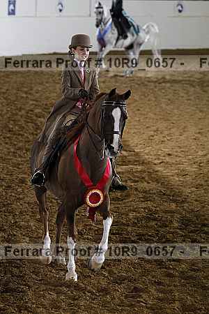 Proof Number 10r9_0657